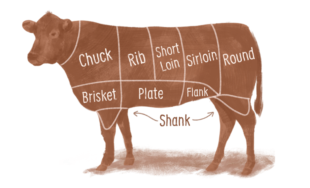 Diagram of a cow showing where the chuck, rib, short loin, sirloin, round, brisket, plate, flank, and shank cuts come from.