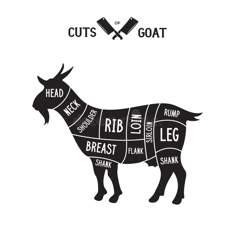Diagram of a goat showing where the head, neck, shoulder, rib, loin, sirloin, rump, leg, breast, flank, and shank cuts come from.