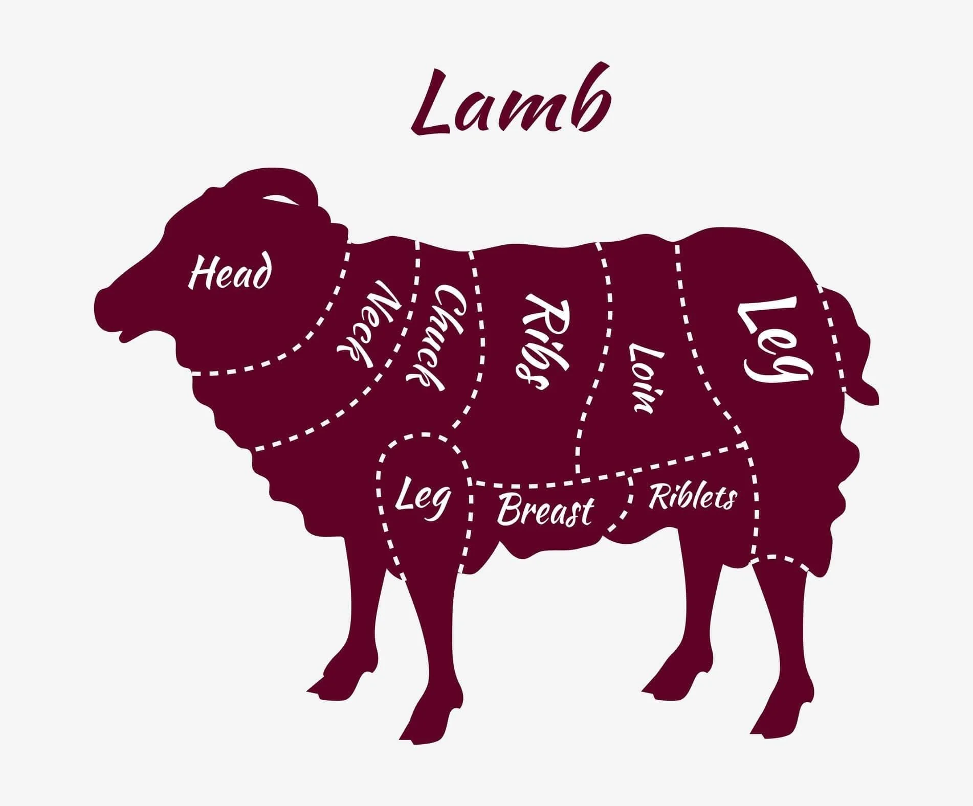 Diagram of a lamb showing where the head, neck, shoulder, ribs, loin, leg, breast, and kidney cuts come from.
